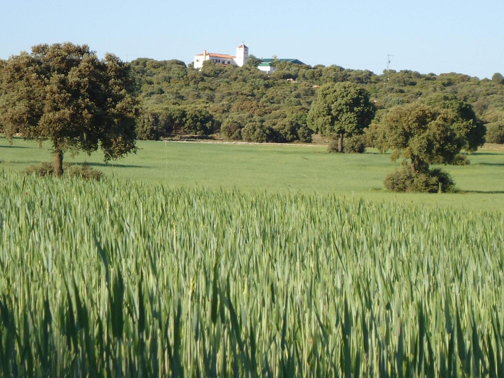 Villa Cerro Moreno Ossa de Montiel Exteriör bild